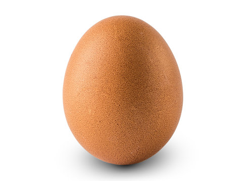 Egg Isolated