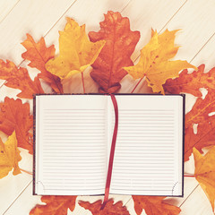 An open diary (or notebook, organizer) with lined sheets is on a white wooden background. Nearby are dried oak and maple leaves.