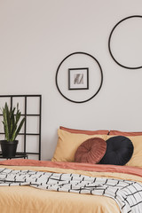 Green plant in black pot next to king size bed in trendy bedroom interior