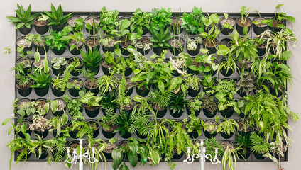 Background of many flowerpots attached to the wall