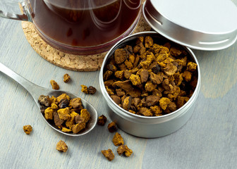 Natural and wild chaga mushroom pieces in container. Accompanied by a cup of hot chaga tea on gray wood background.