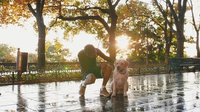 Portrait of young black man and his white labrador dog in city park during beautiful autumn morning