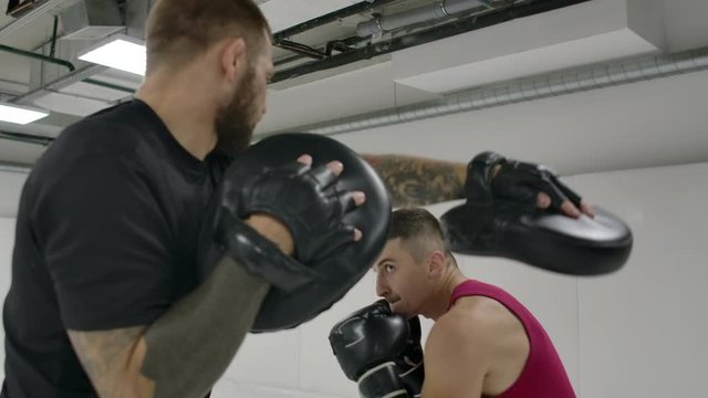 Power blow to boxing paw. Strong tattooed athlete in sports clothing training on boxing paws with partner