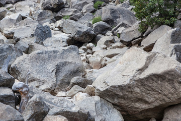 textura de piedras
