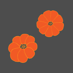 Two pumpkins. Hand drawing sketch. Orange outline on grey background. Picture can be used in advertisement, posters, flyers, banners, logo, further design etc. Vector illustration. EPS10