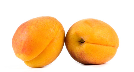 apricots on a white background