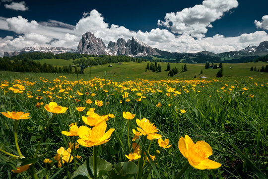 The landscape around Alpe di Siusi/Seiser Alm, Dolomites, Italy