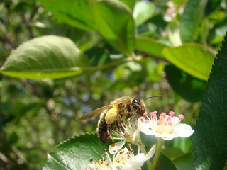 The nature that we love