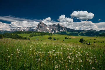 The landscape around Alpe di Siusi/Seiser Alm, Dolomites, Italy