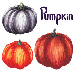 pumpkins isolated on white background