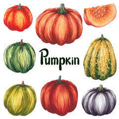 Set of watercolor pumpkin. Isolated white background. Fall set orange, green, purple pumpkins. Watercolour hand drawing illustration. Design for thanksgiving cards, halloween design,harvest, festival.