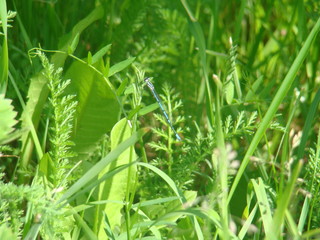The nature that we love