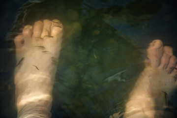 human feet in the water. fish swim around the legs and clean the skin. rocks and silt at the bottom of the river