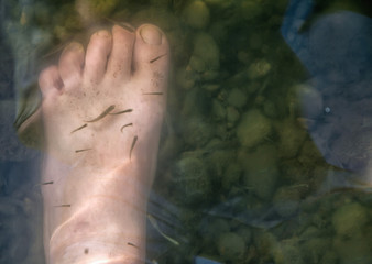 human feet in the water. fish swim around the legs and clean the skin. rocks and silt at the bottom of the river