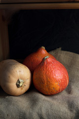 Juicy red orange red kuri hokkaido squash round pumpkins butternut squash on retro canvas. Autumn fall atmospheric harvest still life on black background