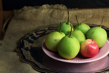 Green organic pears and one small red apple, different not like others, on delicate pink plate on silver metal tray, picturesque still life on coarse retro cloth canvas. Dark atmospheric fall harvest