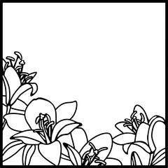 square wedding frame with flowers of lilies, vector illustration. Black and white drawing