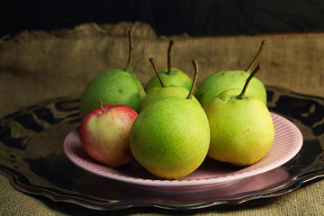 Green organic pears and one small red apple, different not like others, on delicate pink plate on silver metal tray, picturesque still life on coarse retro cloth canvas. Dark atmospheric fall harvest