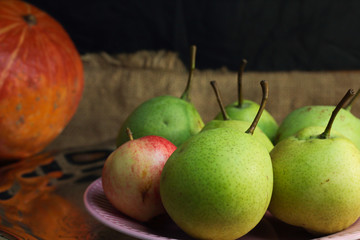 Green organic pears and one small red apple, different not like others, on delicate pink plate on silver metal tray, picturesque still life on coarse retro cloth canvas. Dark atmospheric fall harvest