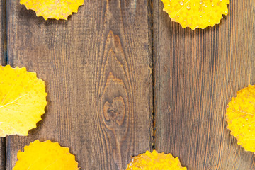 Wooden flooring on which there are autumn, yellow fallen leaves