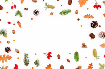 Autumn is coming concept frame made of berries, dried branches, pine cones and acorns isolated white background. Flat lay, top view with space for text