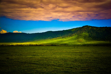 Obraz premium safari in tanzania