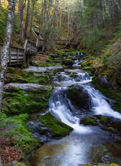 Beautiful waterfalls in the forest in Fundy National Park in New Brunswick