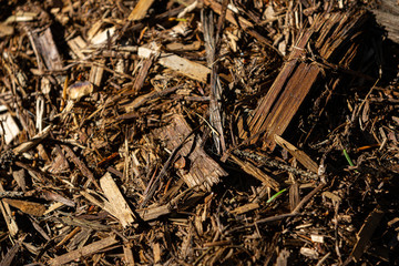 Textures in Mulch