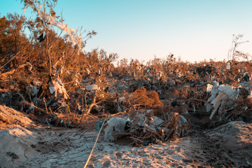Garbage pile in nature among plants. Toxic plastic into nature everywhere. Rubbish heap in park among vegetation. Contaminated soil. Eco issue.