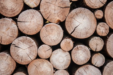 Pile of wood logs stumps for winter