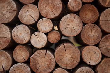 Pile of wood logs stumps for winter
