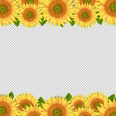 Sunflowers Border Isolated Transparent Background