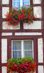 Fototapeta na wymiar Detail from colourful half-timbered house in Treis-Karden