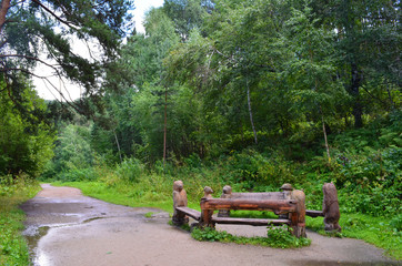 Obraz premium Footpath in the mountains . The summer coniferous, deciduous forest. Wooden bench for rest