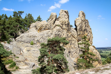 Harz, Gebirge, Felsen aus Sandstein bilden eine schöne Landschaft