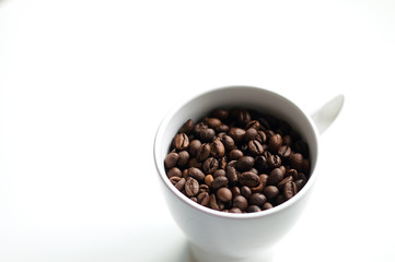 Freshly roasted coffee beans in a white bowl.