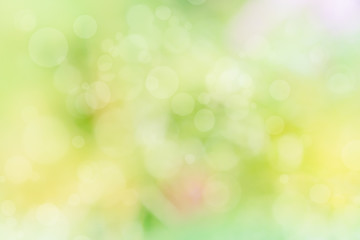 Fototapeta na wymiar Abstract defocused nature background with colorful bokeh