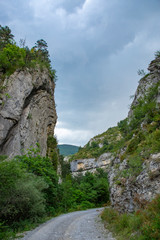 Fototapeta na wymiar Route forestière entre des falaises