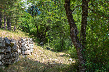 Chemin le long d'un muret