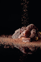 Chocolate candies sprinkled with chocolate chips.