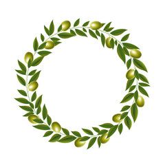Green Olive Wreath Isolated White Background