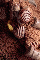 Chocolate candies sprinkled with chocolate chips.