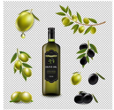 Big Set With Branch Olives And With Virgin Olive Oil In Glass Bottle Transparent background