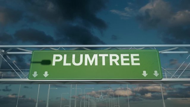 the plane landing in Plumtree zimbabwe
