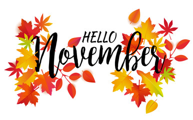 Hello November vector. Autumn leaves and text on white background. 