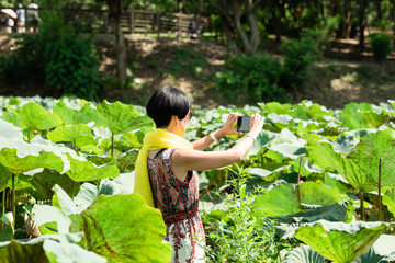 woman take a picture in the lotus farm