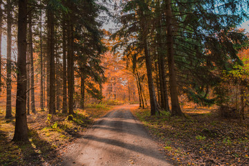 Obraz premium Herbst