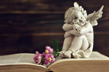 Guardian angel and flowers on old book