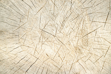 Wood grain texture with cracks from axe. Light background for flat lay.  Rugged tree
