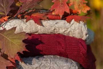 Close up of a pile of colored blankets and autumn leaves on autumn forrest background in warm lights